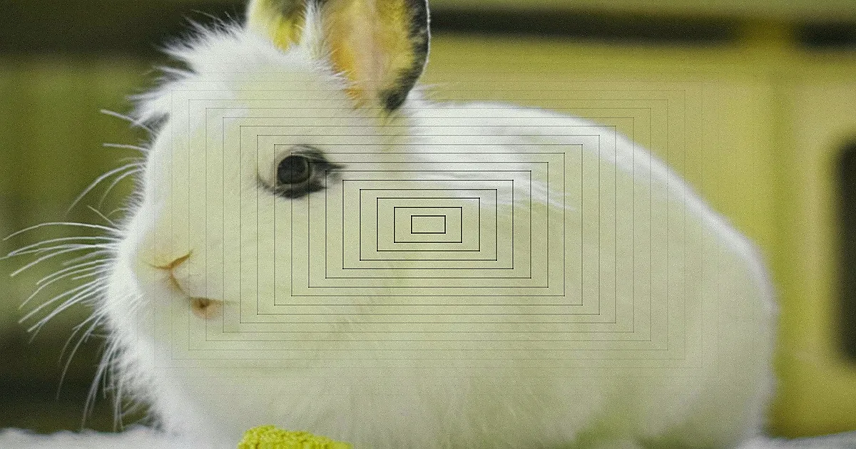 A photorealistic, professional photography, 8K, cinematic lighting, sharp focus, depth of field, shot on a high-end DSLR, of an elderly guinea pig, with soft, slightly ruffled fur, happily munching on a small piece of fresh parsley, its eyes closed in contentment. The setting is bright and natural, conveying a moment of pure joy and reward after a calm interaction. Two natal multimammate mice exploring a glass jar, capturing their curious and adorable nature. — Foto: Nikolett Emmert / Pexels