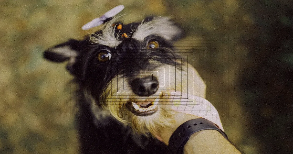 A photorealistic close-up of a senior dog's paw resting gently on a veterinary medical chart displaying a glucose curve, with a stethoscope and insulin pen blurred in the background. The lighting is soft and professional, emphasizing care and medical attention. Professional photography, 8K, cinematic lighting, sharp focus, depth of field, shot on a high-end DSLR. Dalmatian dog sniffing tropical fruits on a platter, including figs and raspberries. — Foto: Rarnie McCudden / Pexels